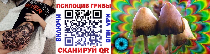 Псилоцибиновые грибы GOLDEN TEACHER  закладка  Тетюши 